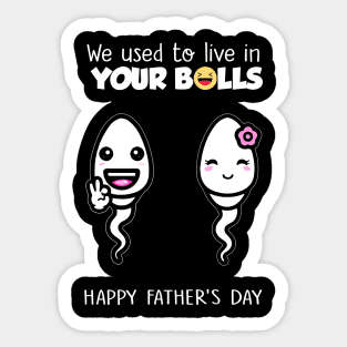 Funny Father's Day We Used To Live In Your Balls Sticker